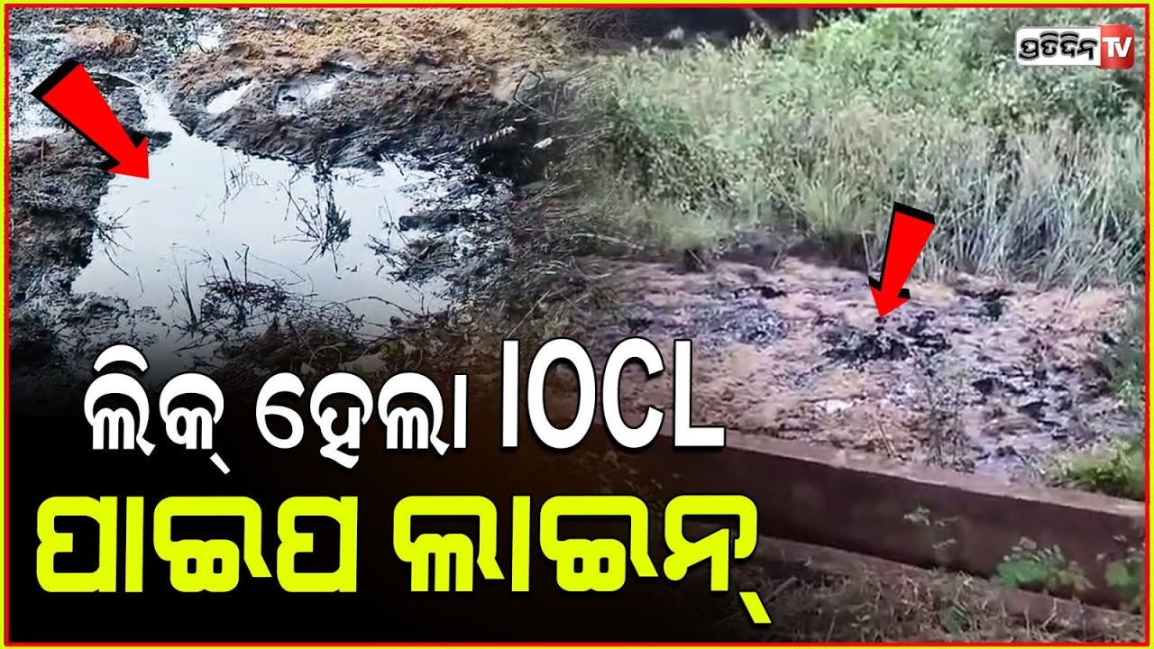 ଲିକ୍ ହେଲା IOCL ପାଇପ ଲାଇନ, କାଉଡିଆ ନଦୀରେ ଭାସୁଛି ଶହ ଶହ ଲିଟର ତେଲ IOCL Pipeline Leak Detected in Paradip