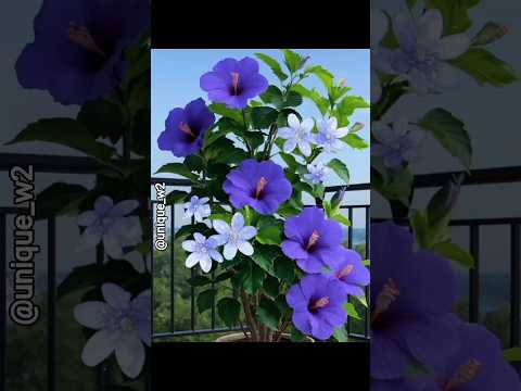 beutiful natural flowers🌸🌺#beatifulnature #trending #flowers #beautifulflowers #viralvideo #ytshts