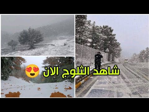 شاهد مناظر مذهلة لتساقط الثلوج بكثافة في تركيا 🌨️🇹🇷 See amazing views of snowfall in Türkiye