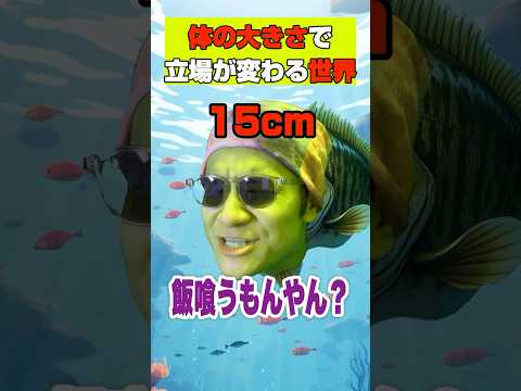 ้ญใฎๅคงใใใง็ซๅ ดใๅคใใไธ็ใ4ใ / ๅใจๅใฏๅใ/#ใใฉใใฏใใน#shokurosfishing