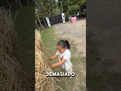 Todo se vuelve pequeño ayudaaaa!!🤯😭