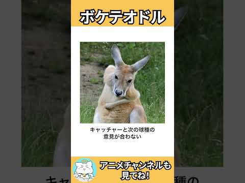 【ネコガミ】動物でボケテオドルPart194 #ボケて