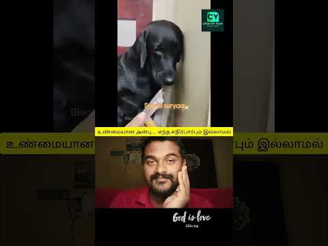 அழகா இருக்க ❤️❤️❤️ #hoomans #dogcomedyvideo #instatrending #creatoryash #bigbang