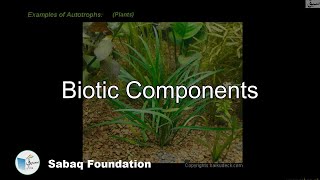 Biotic Components