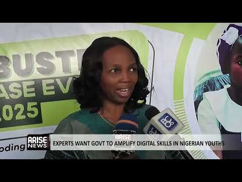 YouTube video thumbnail: Experts Want Govt To Amplify Digital Skills In Nigerian Youths