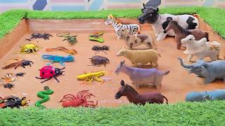 Friendly Farm Pet Animals Vs. Little Insect Bugs Mud Ground Adventure