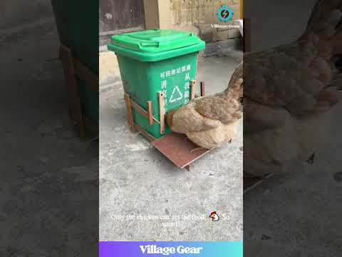 GENIUS Chicken Feeder HACK! 🐔 It Only Opens When a Chicken Steps on It! You MUST See This! #chicken