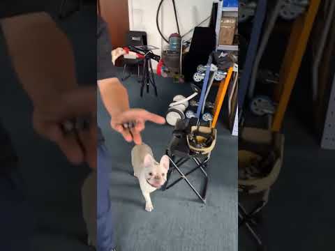 KSP gauss gun shooting pork!#gauss gun#elc gun#shooting