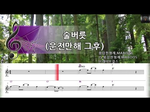 [🎙노래방플리] 브레이브걸스 🎶 술버릇 (운전만해그후) karaoke