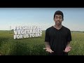 Water Usage and Conservation Issues