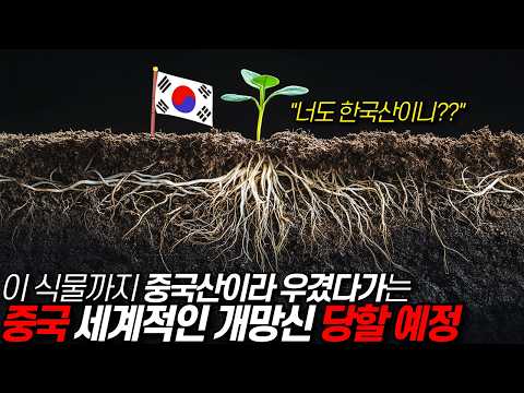 전 세계 모든 국가가 탐낸 한국식물, 이거까지 중국산 우겼다가는 세계적인 개망신 중국 / 디씨멘터리