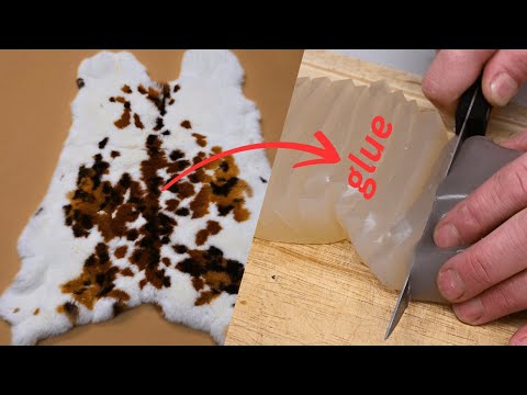 Making GLUE from animal SKIN - used for thousands of years - STRONGER than modern glues?