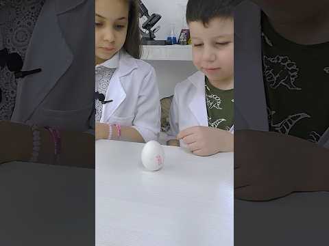 Яйцо не падает #экспериментыдлядетей #эксперимент #физика #химия #наука_ая #опытыдлядетей