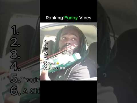 Ranking Funny Vines #ranking #Ranking #nostalgia #nostalgic #funny #violin #music #memes #cat #dog