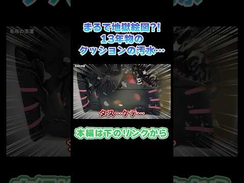 【切り抜き】まるで地獄絵図⁉️13年物のクッションの汚水…🥶#shorts #切り抜き #洗濯 #クッション #キティちゃん #つけ置き #お手入れ