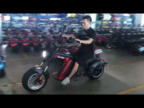 citycoco trike electric scooter factory