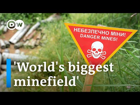 A third of Ukraine contaminated by landmines, Kyiv says | DW News