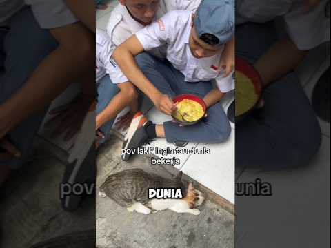 Pria ingin tau bagaimana dunia bekerja🤭