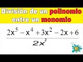 División de Polinomios y Monomios
