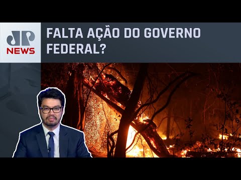 Bancada do Mato Grosso do Sul pede urgência para Estatuto do Pantanal; Kobayashi analisa