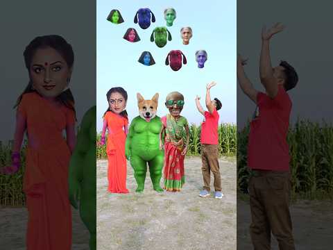Tu radha meri mea shyam tera songs vs old Dida, lal shadi wife, Faty green dog & me corect head 💓