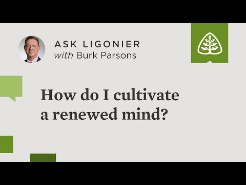 How do I cultivate a renewed mind?