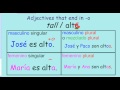 Conjugating SER and Using Adjectives in Spanish