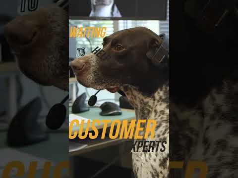 Meet Huck: Our New Customer Service Agent 🐶🎧 | Ariel Rider Ebikes
