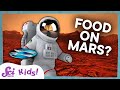 Mars Exploration and Plant Growth Challenges