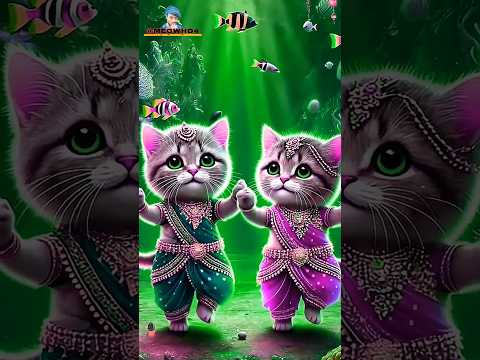 CRAZY CUTE CAT DANCE IN THE MUSIC || MEOWHD4 🥰💃🥁 PART - 382 #CUTE #CAT #CATDANCE #SHORTS #SHORTSFEED
