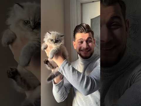 هل عمر القطة مناسب لسنان ؟! 🐱 #الأخوين_أصلان