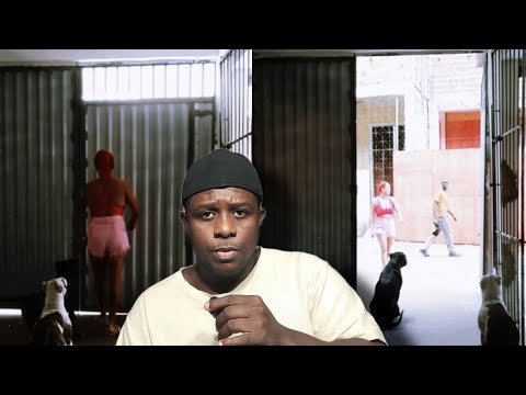 MULHER ABRE PORTÃO E SOLTA "PITBULLS" PARA TESTAR ADESTRAMENTO 