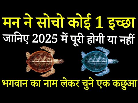 Tarot card in Hindi,चुने एक कछुआ,मन में सोचो कोई एक इच्छा देखे2025 में पूरी होगी या नहीं।/Tarot card