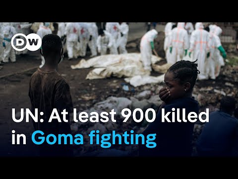 DRC government dismisses rebel ceasefire claims | DW News