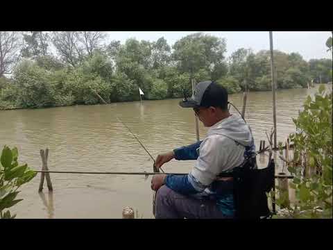 Dulur Mancing 88 LIVE !! #fishing