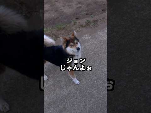 ジョンじゃんよぉ。