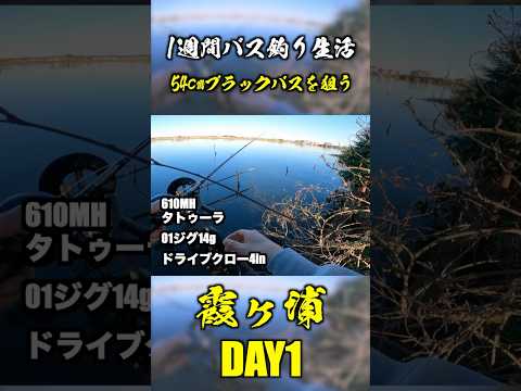 1週間かけて54cmのブラックバスを狙う【霞ヶ浦バス釣り】