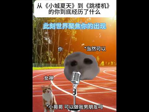 猫のユーモアとリアルな瞬間を楽しむ：動画で振り返るストーリーと場面 サムネイル