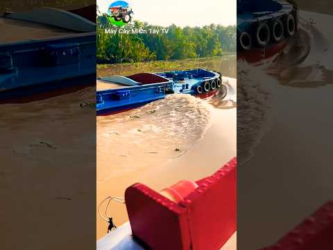 Xà Lan  Siêu Dài #tractor #máycàymiềntâytv #agrimotor #mientay