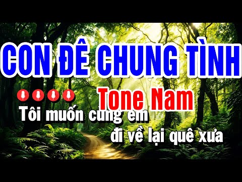 Karaok Con Đê Chung Tình Nhạc Sống Tone Nam | Beat Huỳnh Anh