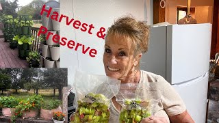 Let’s Garden, Harvest & Preserve 🥬🥒🫛🌶️🥕