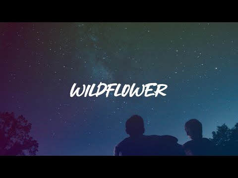 Billie Eilish - WILDFLOWER (Lyrics)