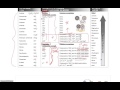Chemical Reactions and Solubility Concepts
