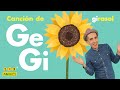 Comprensión del video sobre el girasol