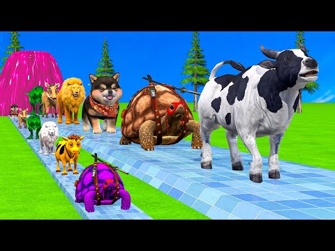 Paint & Animals Cow,Monkey,Pig,Rabbit,Ninja Turtles Fountain Crossing Transformation Animal Cartoon