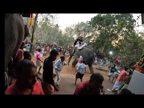 Elephant Attack while fest | #routemastertoday