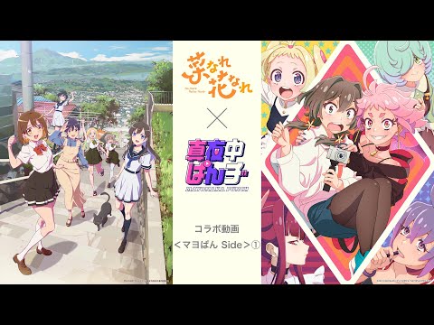 「菜なれ花なれ」×「真夜中ぱんチ」コラボ動画〈マヨぱん Side〉①【今年の夏はP.A.WORKS!!】