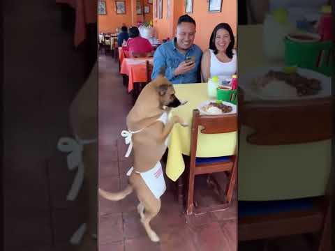 hơi bị rén 😄😄 #reviewvui #vuive #automobile #minhtv #giaitri