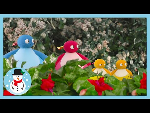 Bahçede! | Twirlywoos | WildBrain Cockular