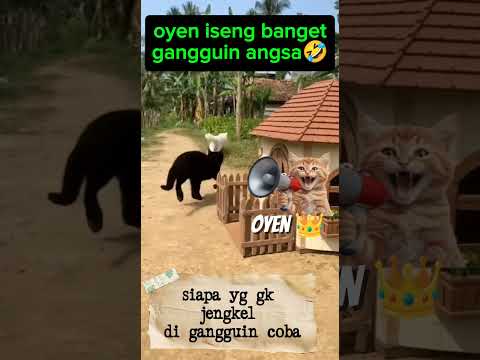 oyen gangguin angsa🤣#viral #cat #animals #funny #shorts